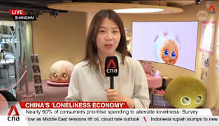 Blind boxes, toys, milk tea: Unboxing China’s 'emotion economy'