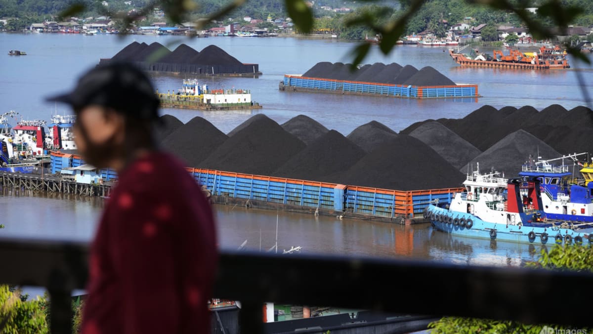 Indonesia plans to offer carbon credit certificates to foreign buyers next week