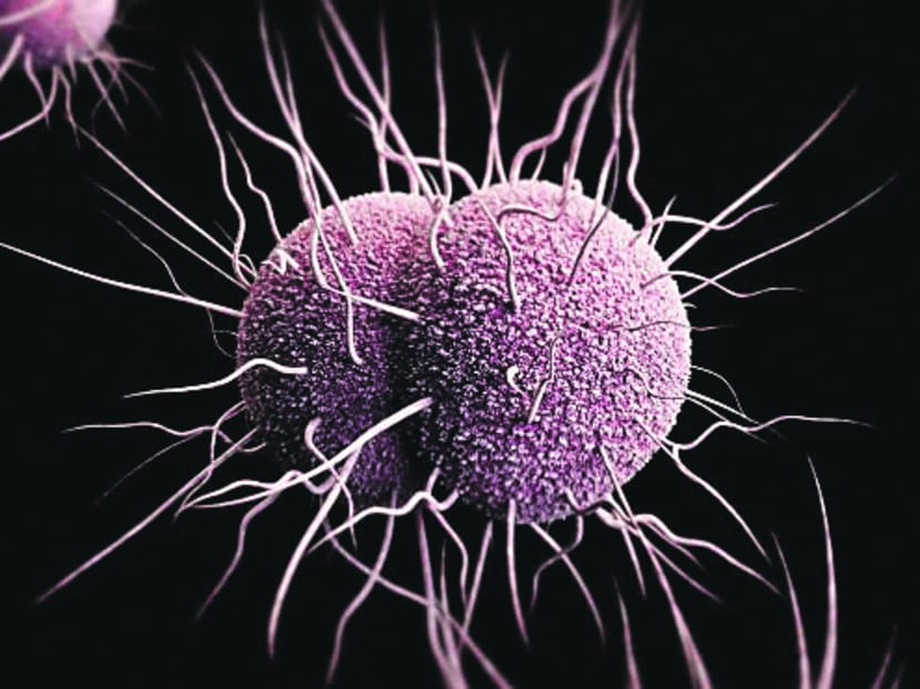 Hope or despair towards antimicrobial resistance?