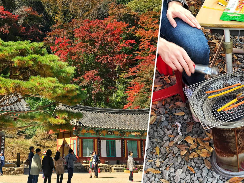 We Visited Korea's Farming Region And It's More Happening Than We Imagined