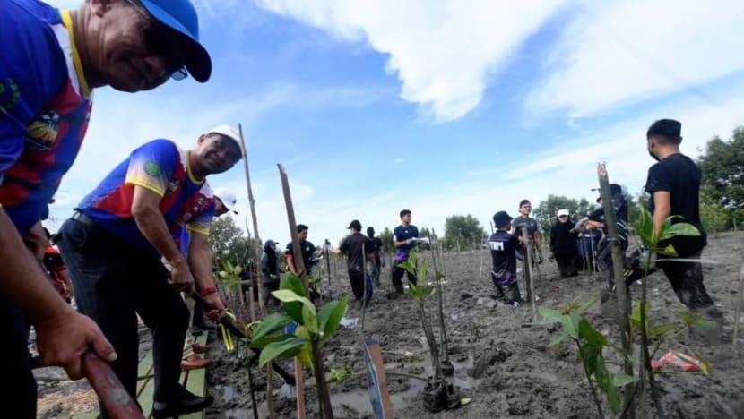 M'sia berhasil tanam 33 juta sejak lancar Kempen Penanaman 100 Juta Pokok M'sia berhasil tanam 33 juta sejak lancar Kempen Penanaman 100 Juta Pokok