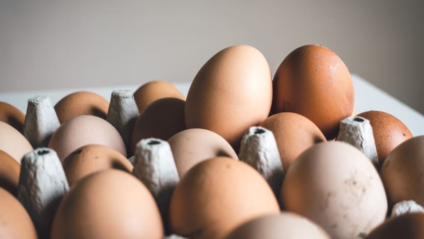 Singapore recalls eggs from another Malaysian farm due to Salmonella bacteria