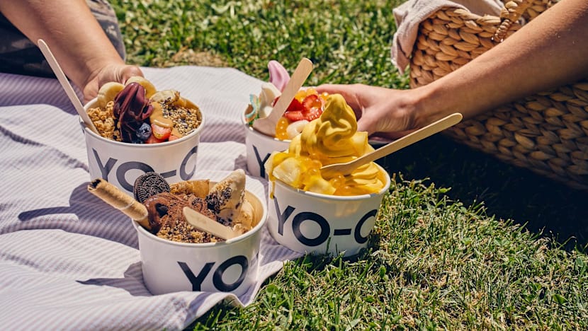 Popular frozen yoghurt brand Yo-Chi to open second outlet at Star Vista
