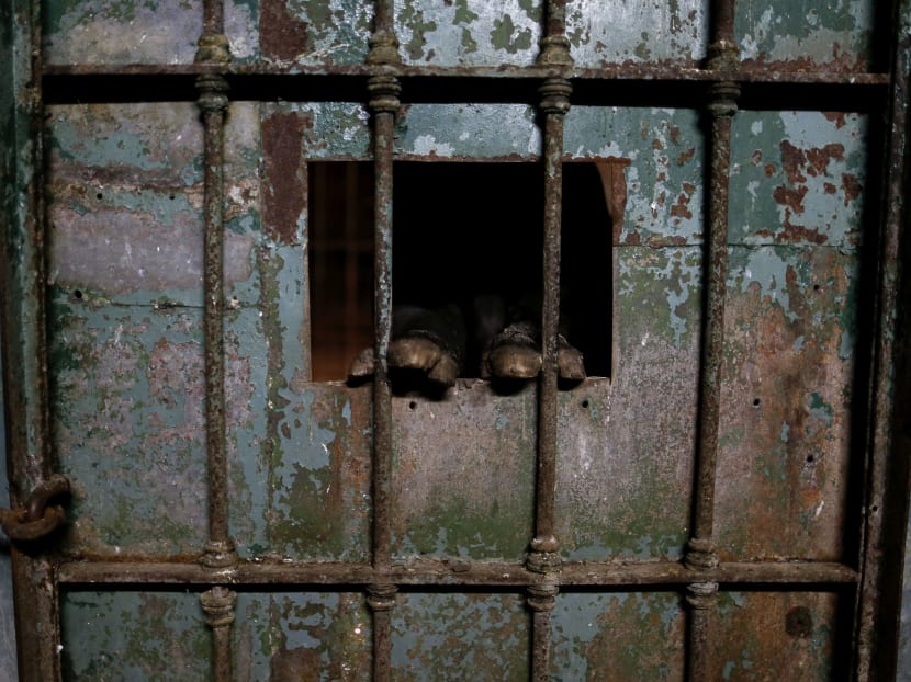 Animals still stuck in cages a year after zoo closure