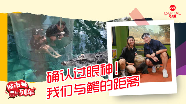 确认过眼神！我们与鳄的距离