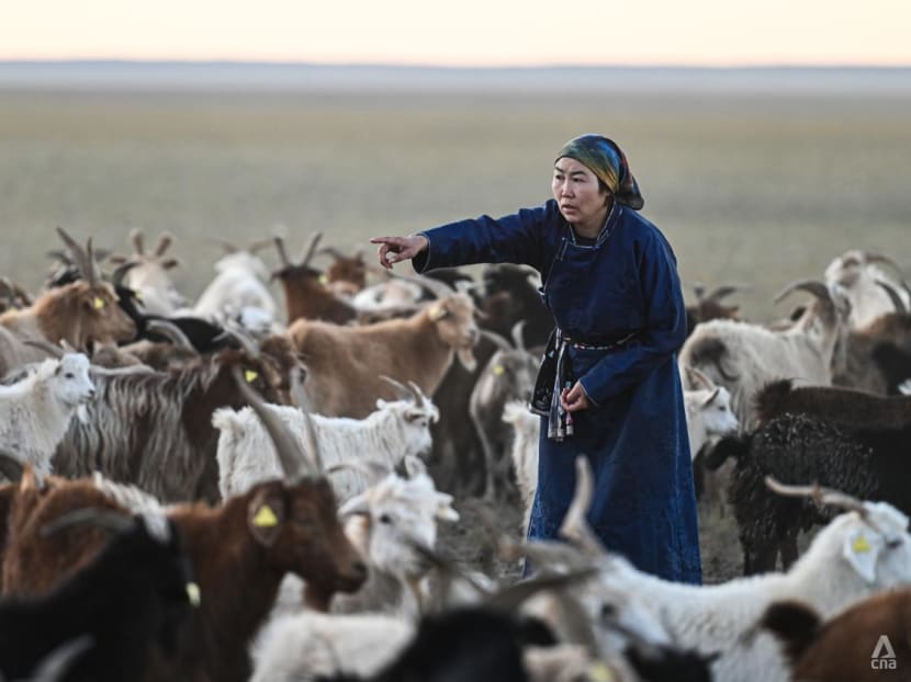 In the deep, cold Gobi desert, Mongolia’s nomadic herders cannot outrun climate change