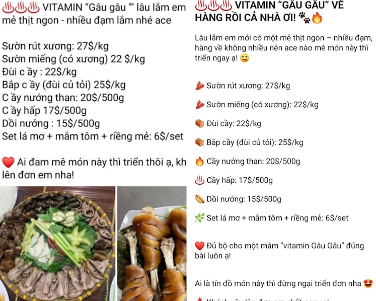 SFA looking into alleged illegal sale of dog meat in Singapore
