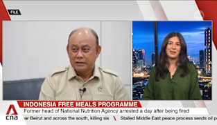 Indonesia arrests former head of President Prabowo's flagship free meals programme