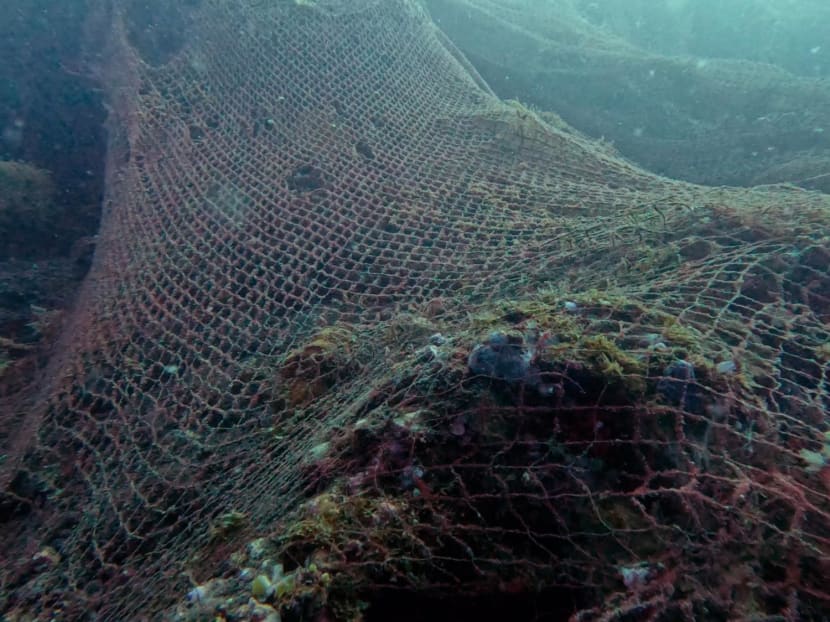 A fishing net covering corals at a dive site in Bali, Indonesia.