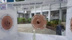 Related article image