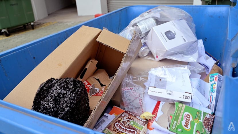 Singapore's Zero-Waste Goals Hampered by Global Recycling Challenges