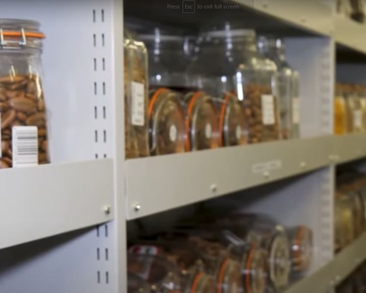 ‘Like a Noah's Ark of plants’: Conservation facility in the UK builds up collection of 2.4 billion seeds