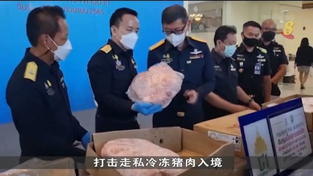 泰国过去三个月起获逾43公吨走私猪肉