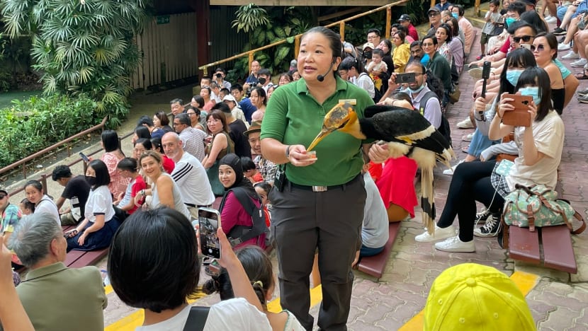 Related article image