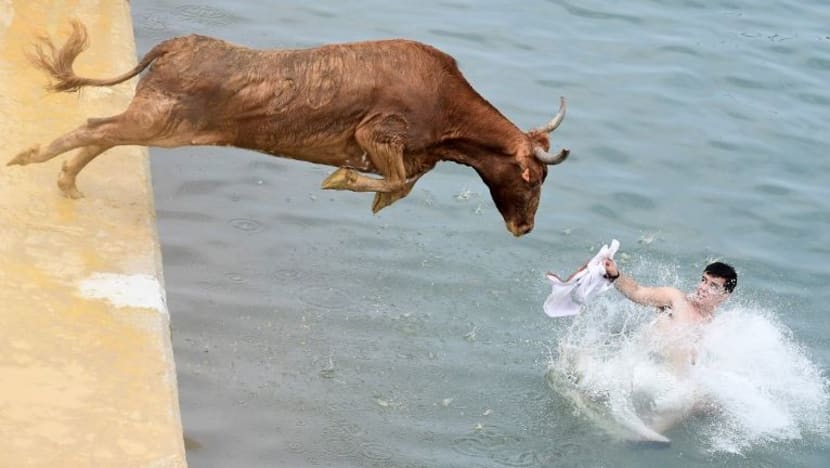 Gambar Pilihan Hari Ini