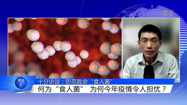 狮城有约 | 十分访谈：防范致命“食人菌”？