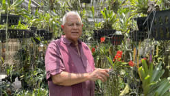 Related article image