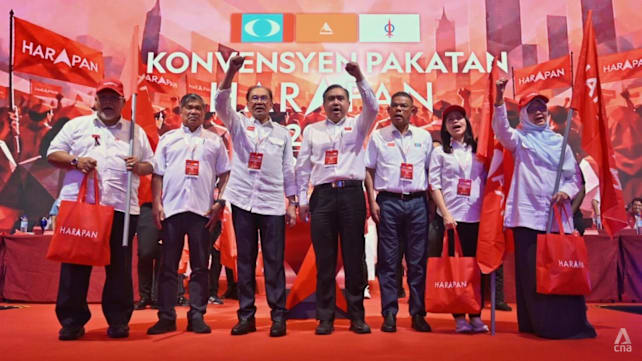 Anwar says ready to call GE and ‘fight’ BN after it signals intent to go solo in Johor