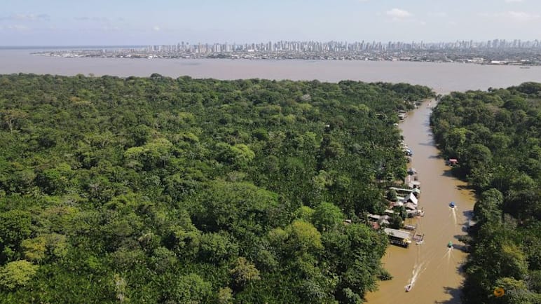 Trees, targets and trillions: What's on the agenda at COP30?