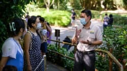 Related article image