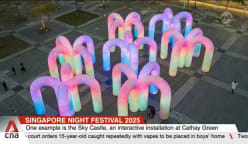 Singapore Night Festival 2025 to feature more than 80 immersive experiences over three weekends