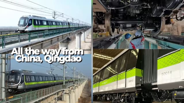 跨岛线首列列车抵新 2030年投入服务