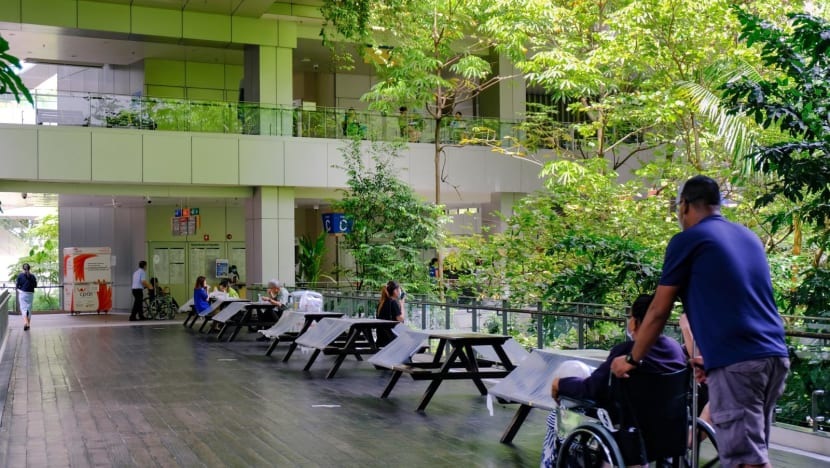25% increase in allied health professionals in Singapore from 2019 to 2023