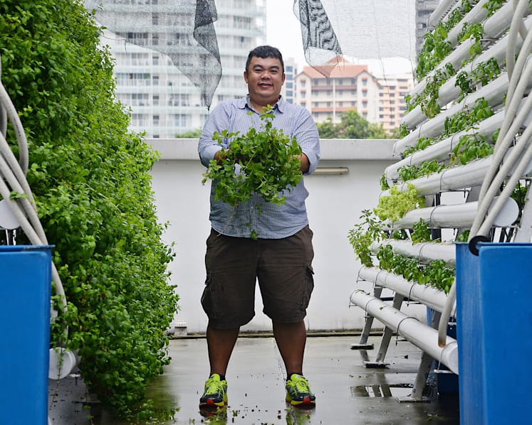 Farming, one rooftop at a time