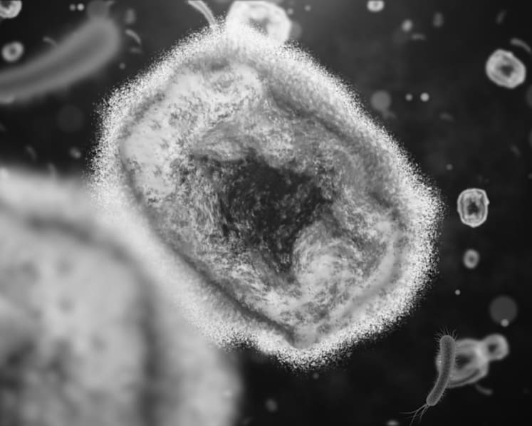 CNA Explains: Who's at risk of mpox, and how worried should you be?
