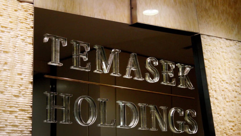 Amid dismal 2020 for investors, state investor Temasek places bets on long-term trends accelerated by Covid-19