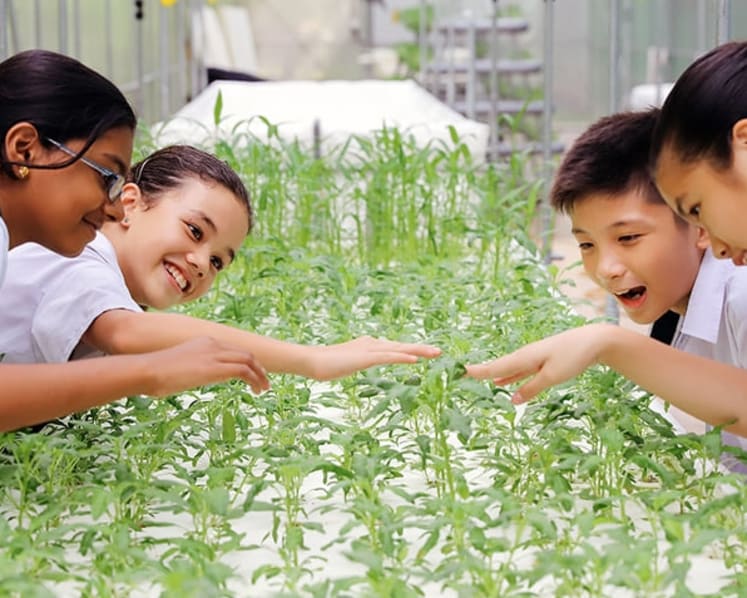 How housing, education and the economy combine to give S’poreans hope for a brighter future