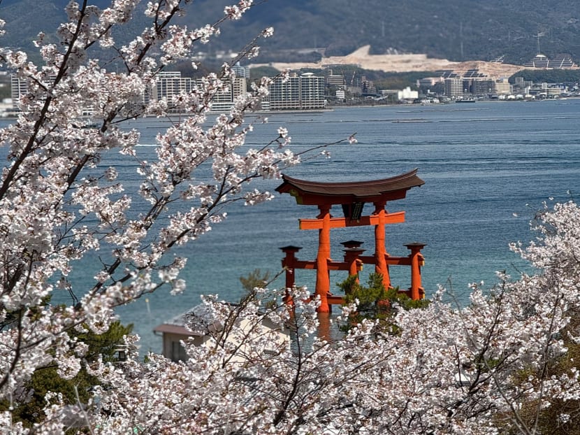 Discover the beauty of Japanese islands via small-ship luxury cruising Discover the beauty of Japanese islands via small-ship luxury cruising