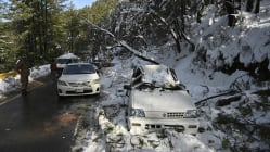 Related article image