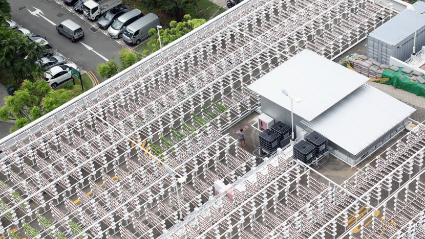 SFA launches tender for rental of 7 sites at HDB car park rooftops for urban farming
