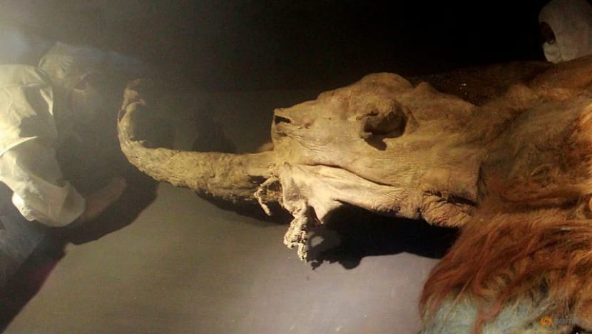 RNA recovered from Siberian mammoth that died 39,000 years ago