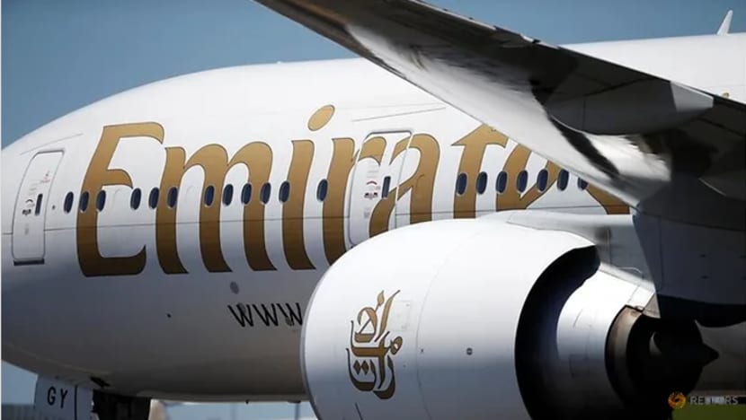 Pesawat Emirates selamat mendarat di Mumbai meski langgar sekawan burung flamingo Pesawat Emirates selamat mendarat di Mumbai meski langgar sekawan burung flamingo