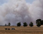 Australia heatwave raises bushfire threat as Melbourne braces for hottest day in 17 years