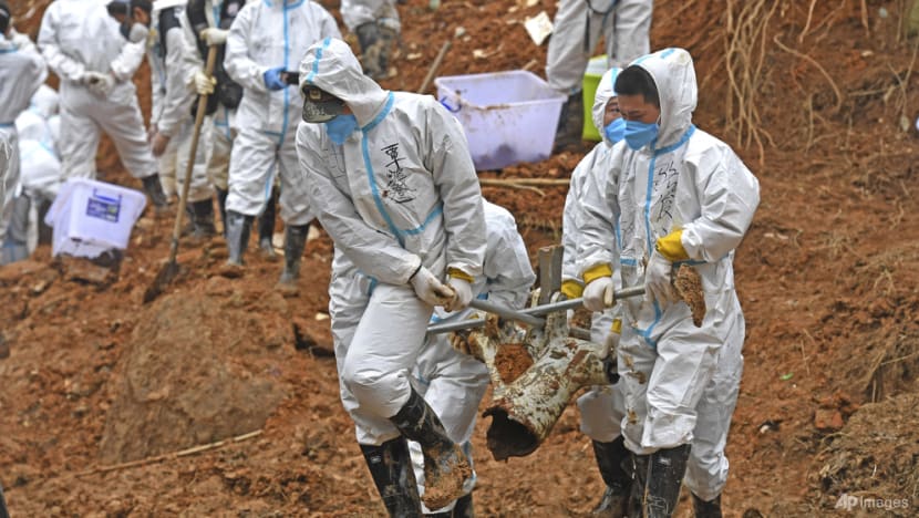 Second black box found in China Eastern plane crash