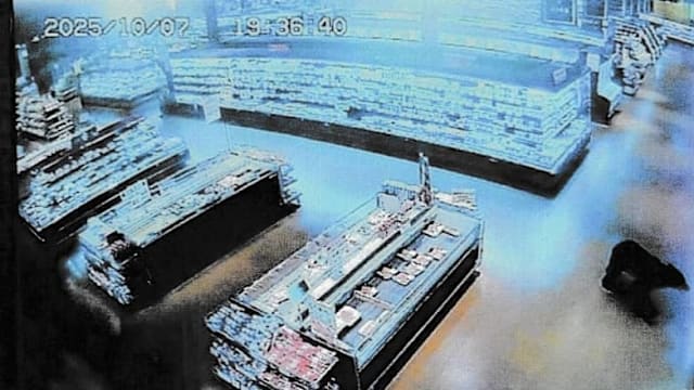 日本熊袭事故频发 美国罕见发布野生动物警示