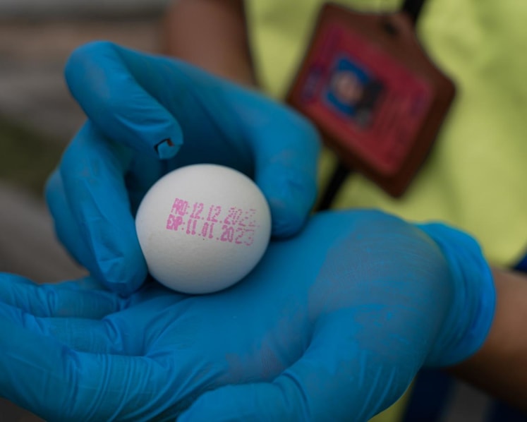 Malaysia to allow temporary import of chicken eggs to overcome shortage