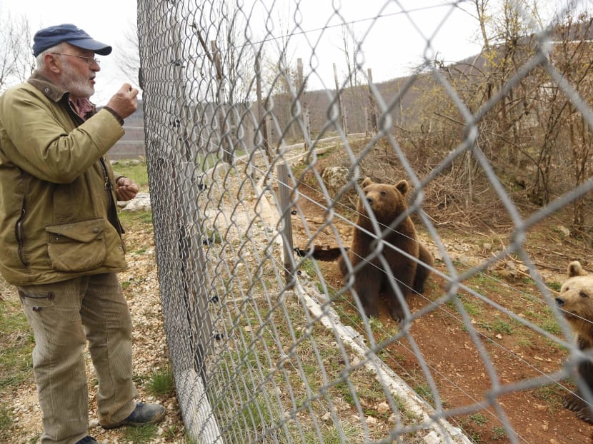 Shelter at Croat village provides haven for brown bears