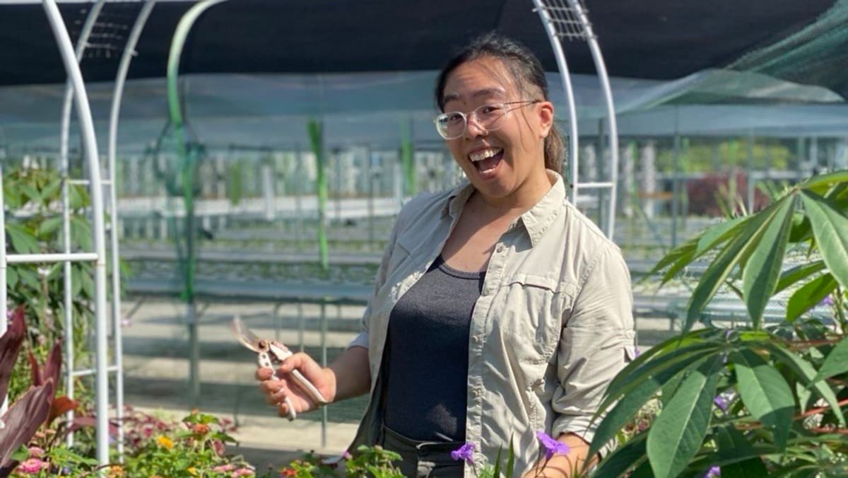 Urban farming in Singapore: She wants you to grow your own food from your HDB window