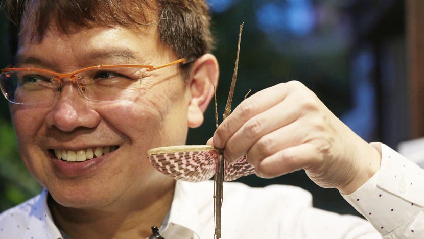 The Big Read: Droppings boiled into tea sparked his interest on stick insects