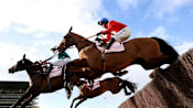 Horse Racing-Four horses die at Cheltenham Festival