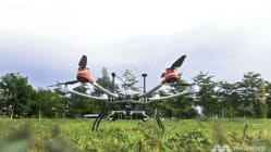 Related article image