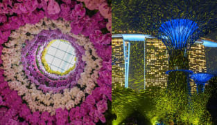 Head to Gardens by the Bay for a fireflies-inspired light show and giant orchid display