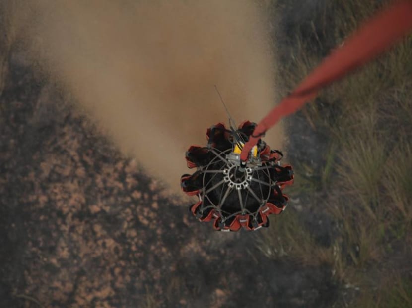 Singapore team deployed to fight forest fires in Indonesia returns