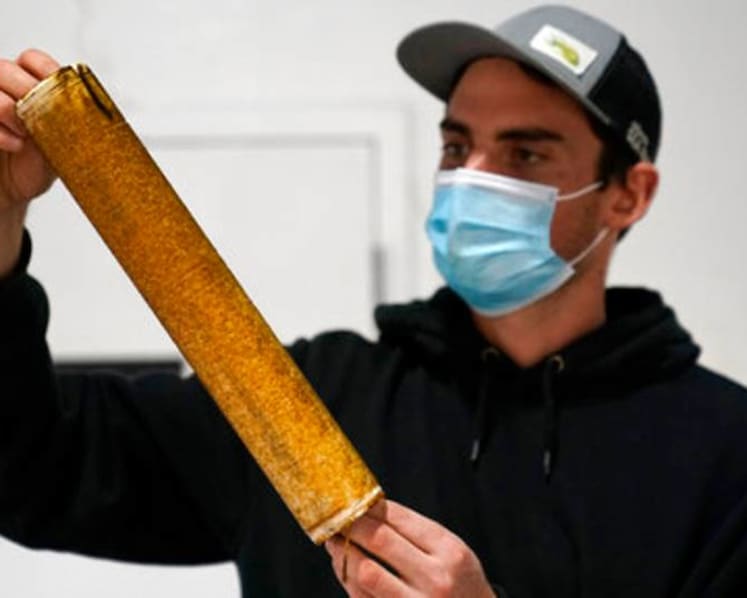 US seaweed industry stays afloat, seeks growth during COVID-19 pandemic