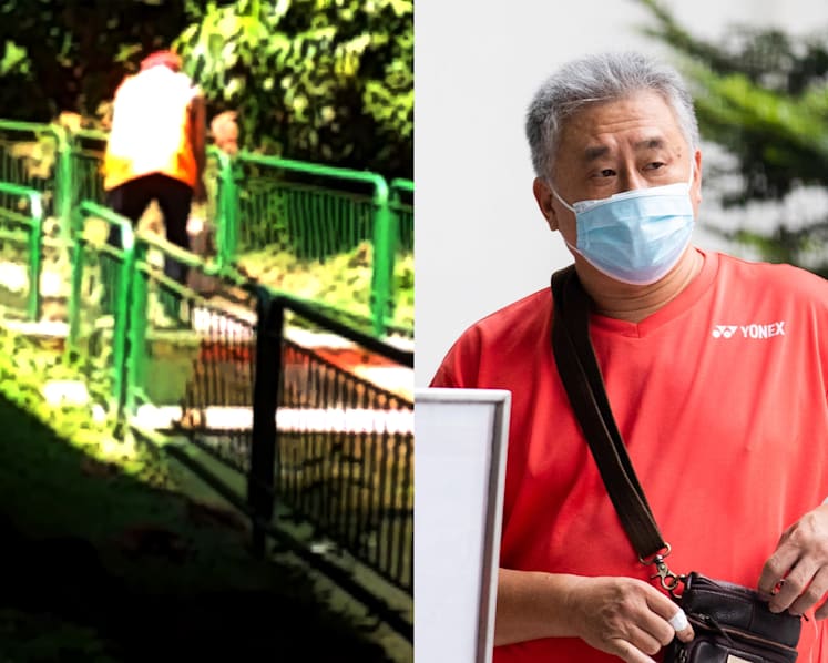 S$11,000 fine for man caught on video dropping dog into canal at Upper Peirce Reservoir Park