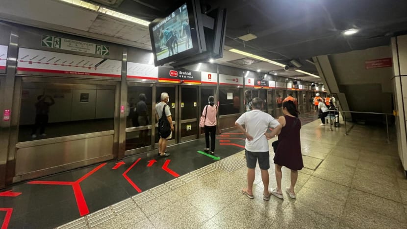 Platform door falls onto track at Braddell MRT station, causing delays on the North-South Line